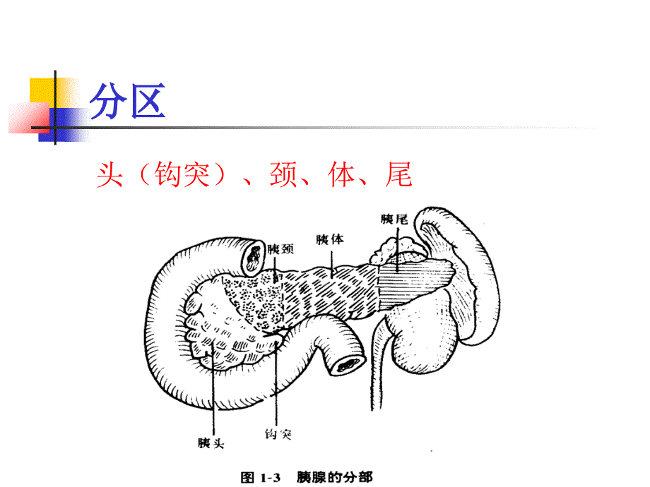 急性胰腺炎完整版_第3页