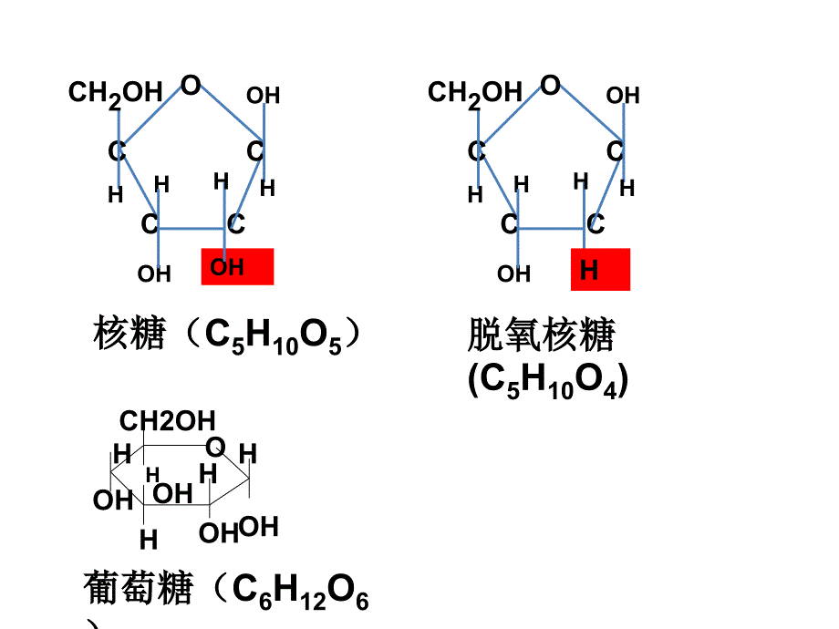 人教版高中生物必修一课件：2.3细胞中的糖类和脂质(共29张PPT)_第4页