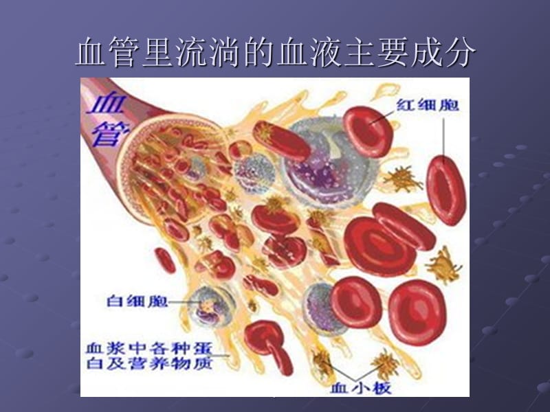 急性肾小球肾炎最新版本_第2页