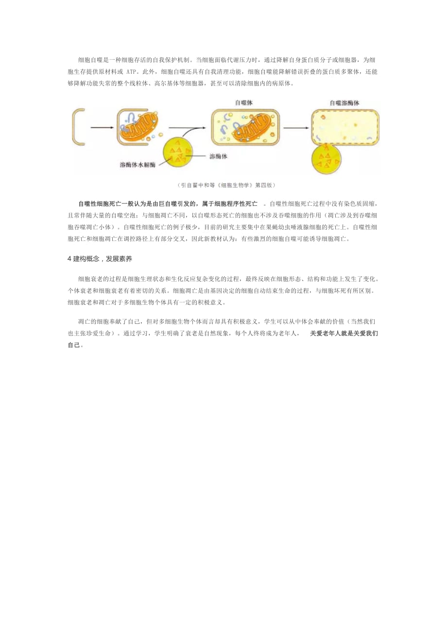 高中生物新教材“细胞的衰老和死亡”解读_第4页