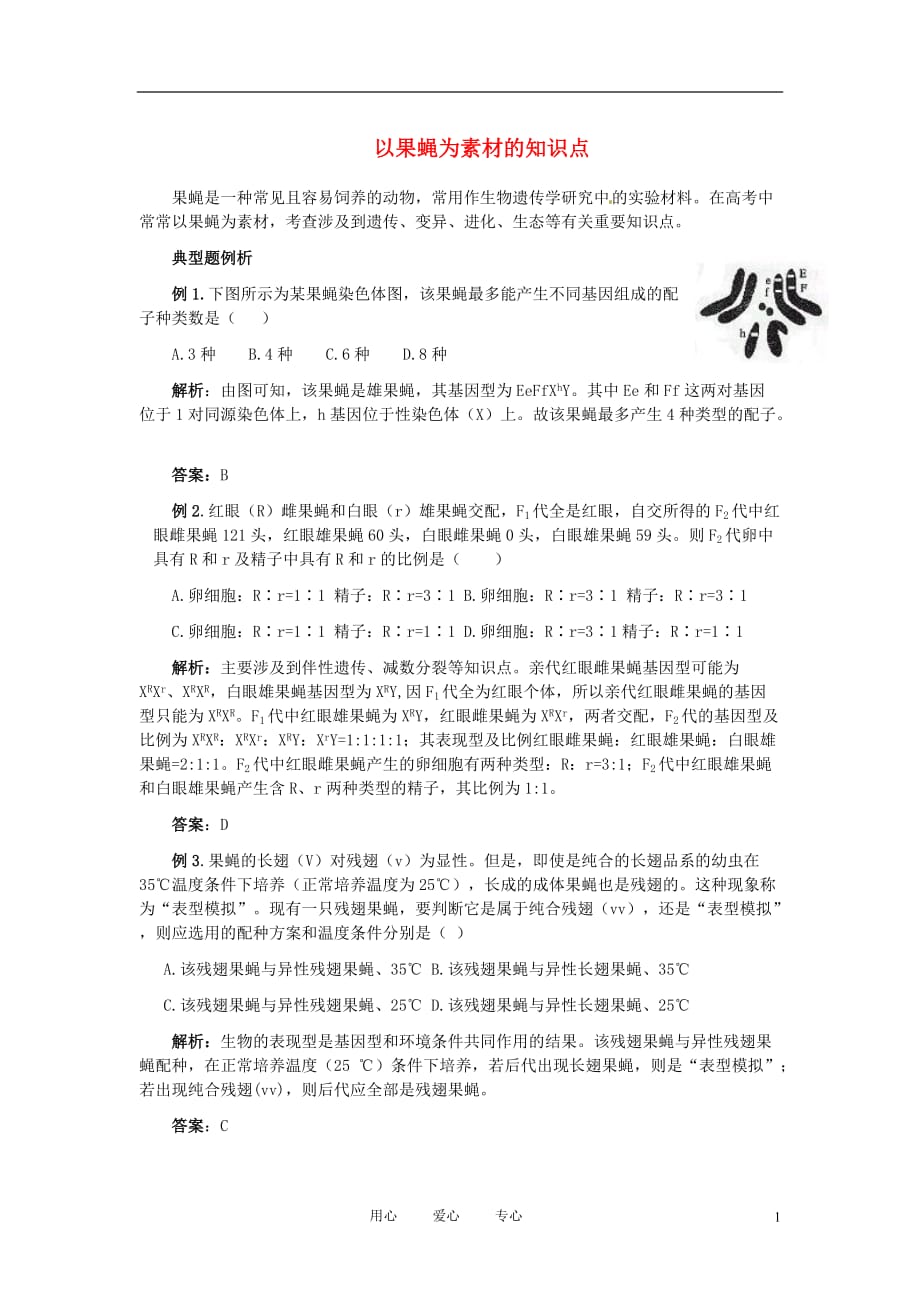 四川省资阳中学中考生物复习专题 以果蝇为素材的知识点 人教新课标版_第1页