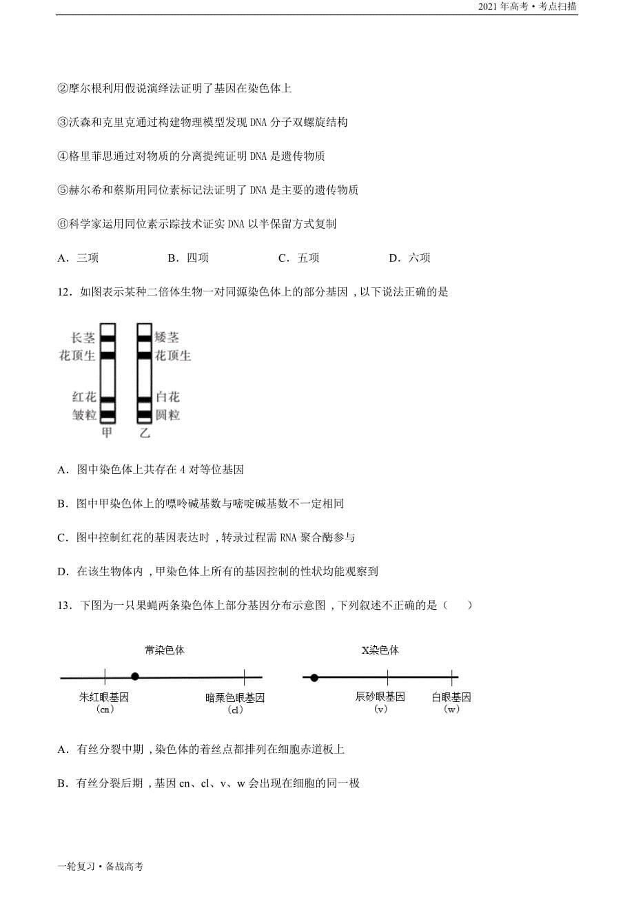 2021年高考[生物]一轮复习考点22 基因在染色体上（学生版）_第5页