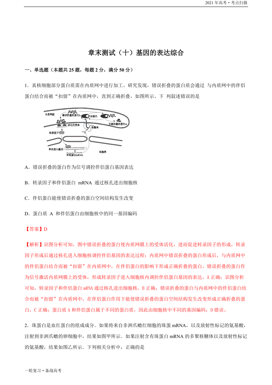 2021年高考【生物】一轮复习考点章末测试（十）基因的表达综合（解析版）_第3页