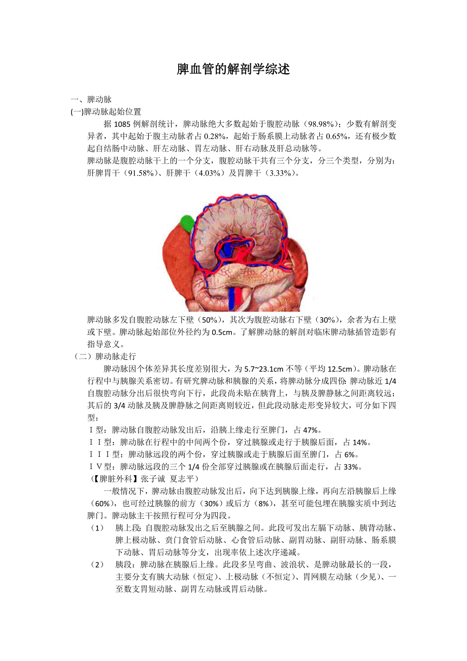 脾血管的解剖学综述-_第1页