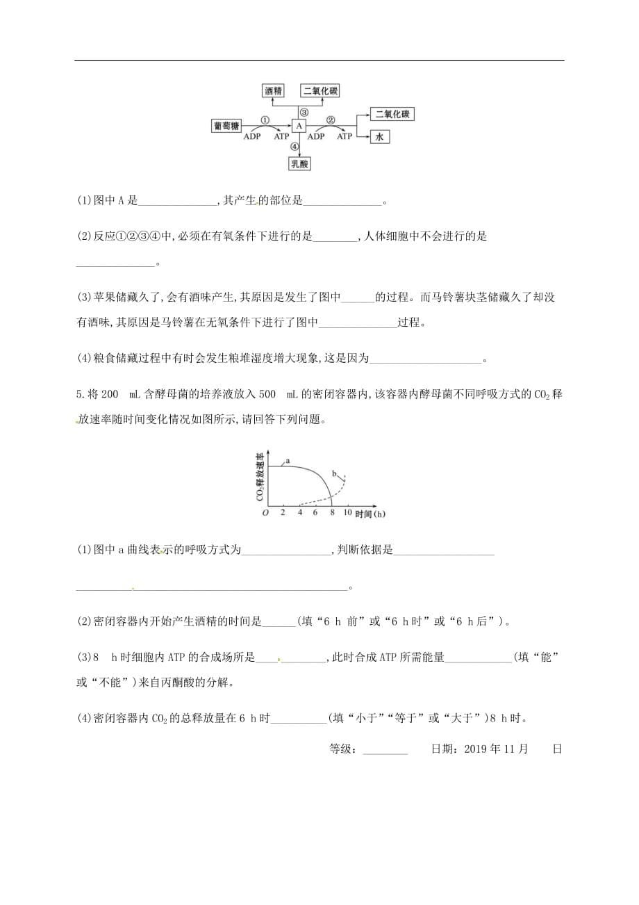 人教版（2019）高中生物必修一学案：第五章第3节 2细胞呼吸的原理和应用_第5页