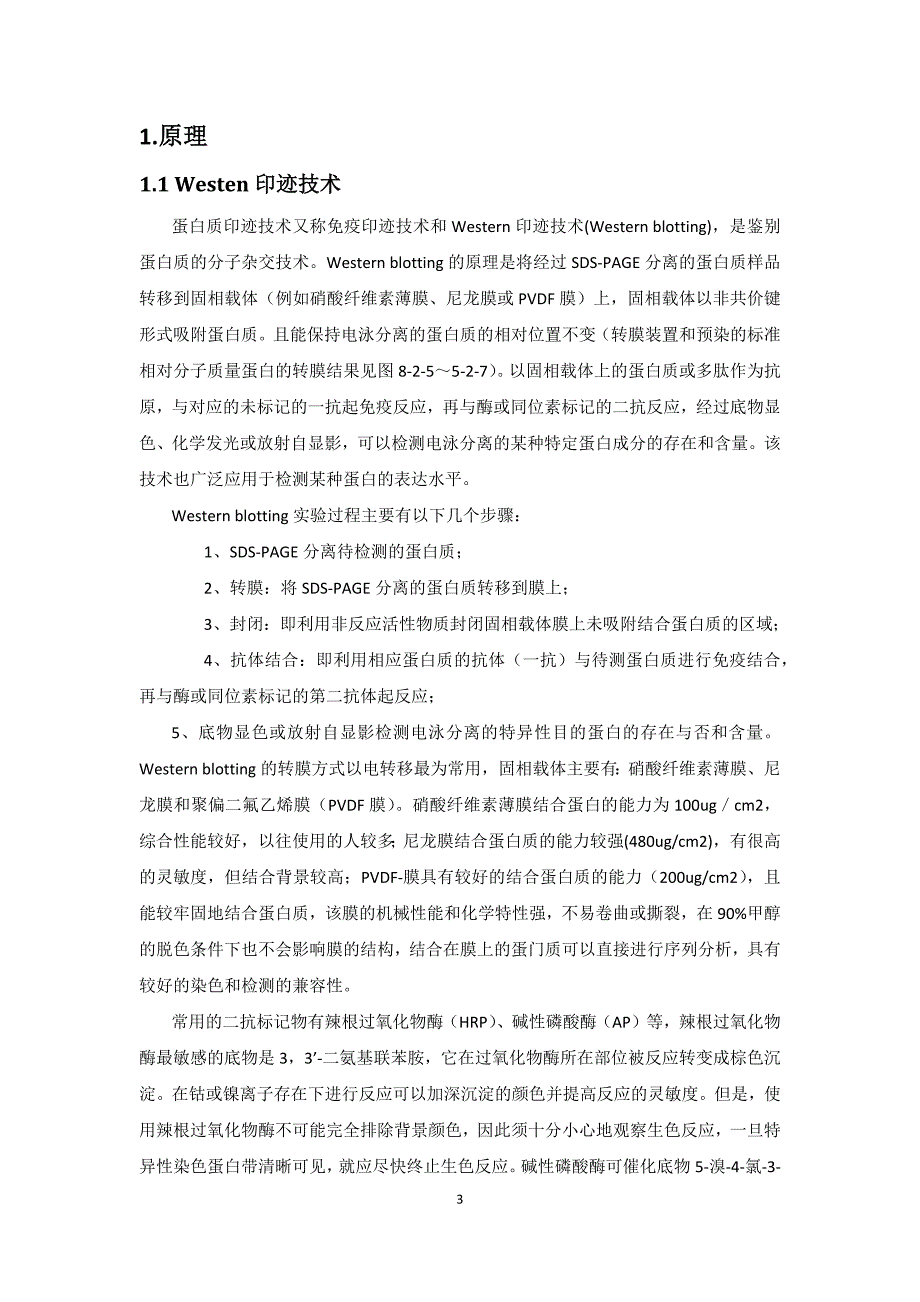 【3】蛋白印迹技术(分子医学实验)-_第3页