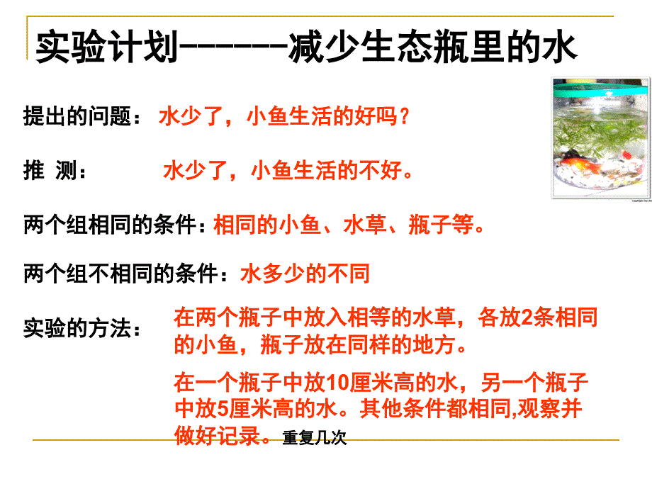 2012(教科版)五年级科学上册课件_改变生态瓶_1-_第3页