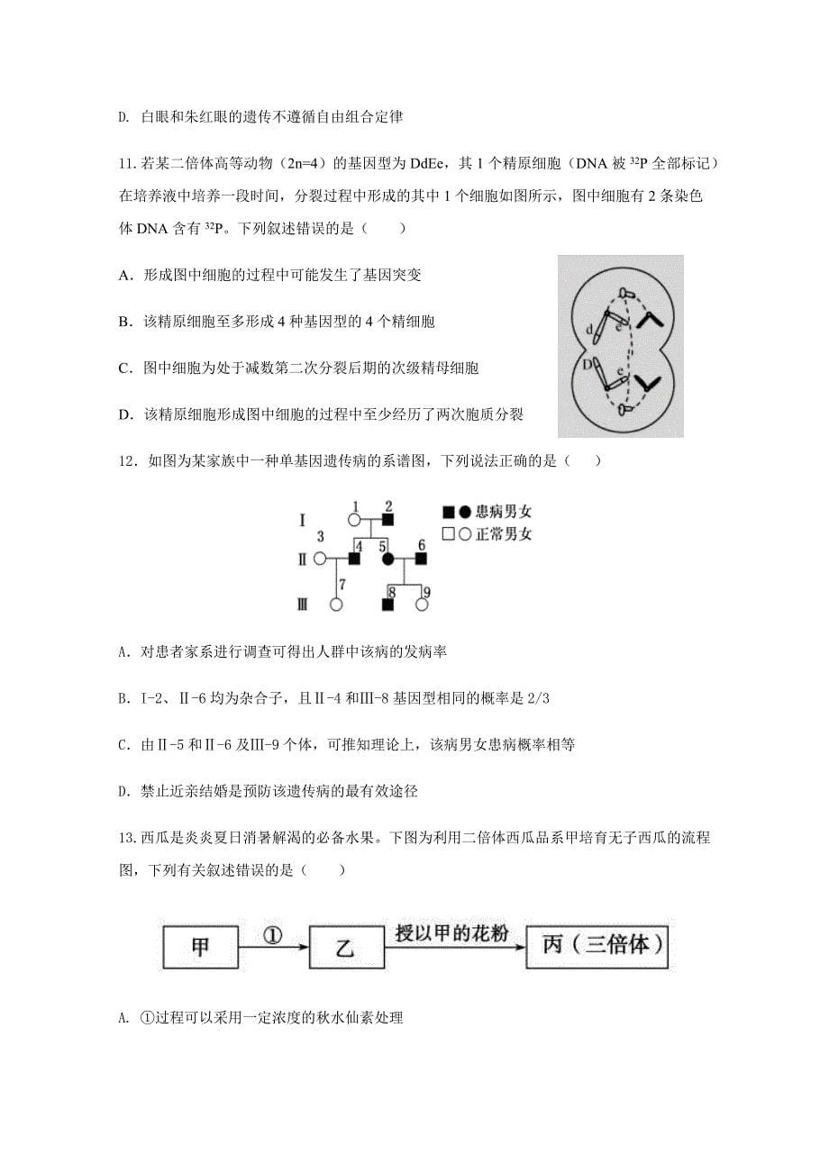 湖北省2020年秋重点高中协作体起点考试高二生物试卷【含答案】_第5页