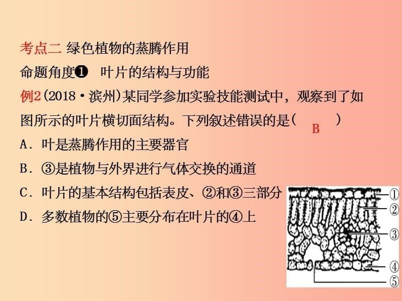 山东省淄博市201X中考生物第三单元第三章复习课件_第5页