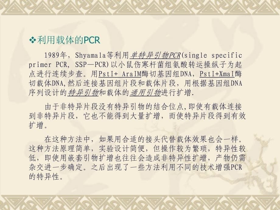 基于PCR的染色体步查技术课件_第5页