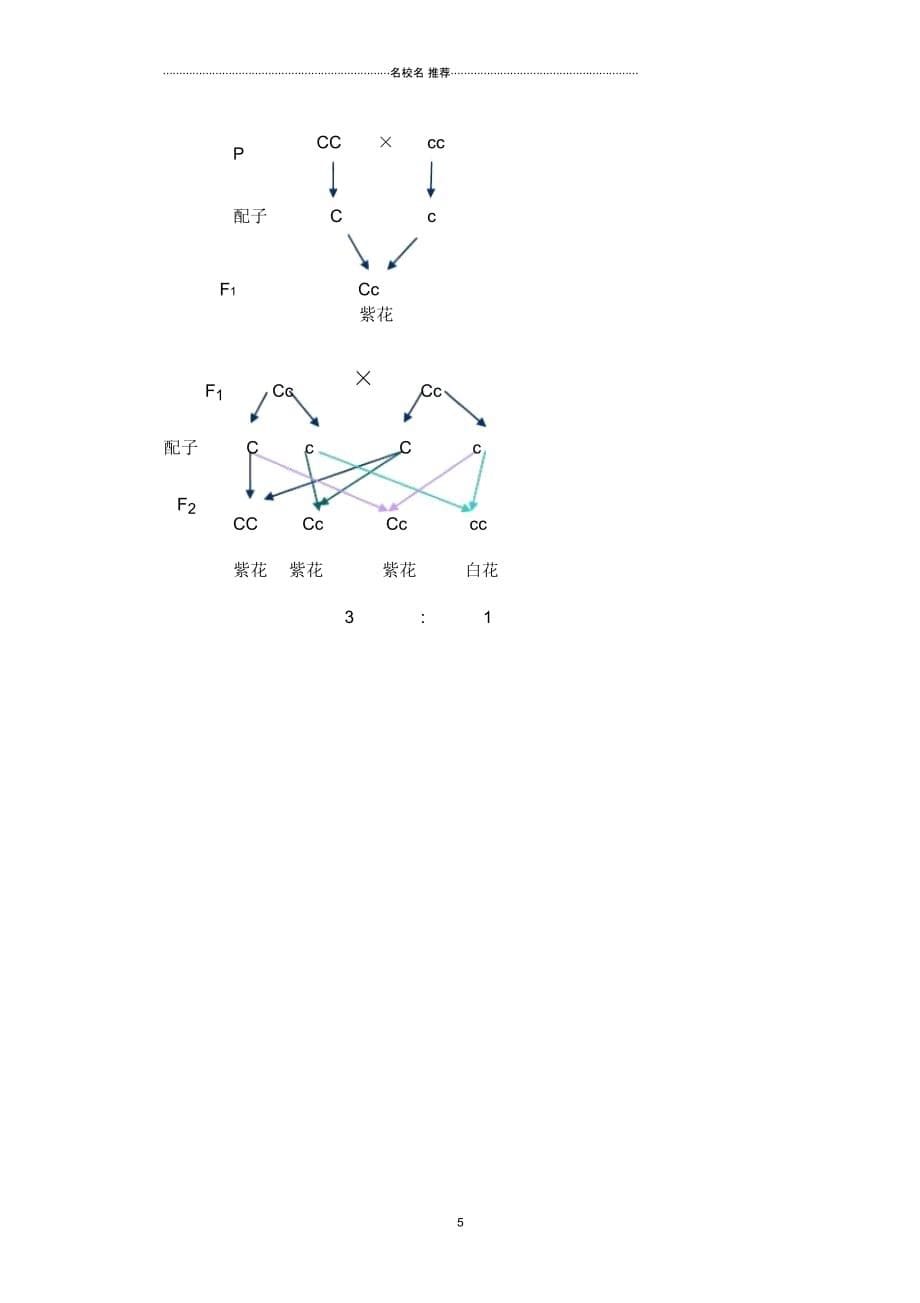 高中生物第一章孟德尔定律1.1分离定律名师精选教案浙科版必修2_第5页