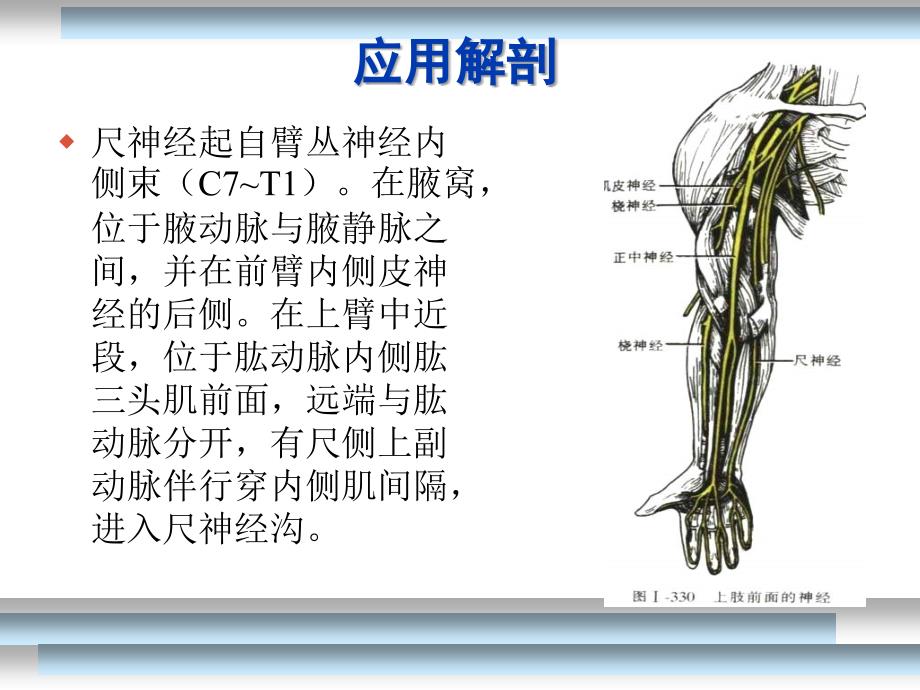 尺神经损伤康复-_第3页