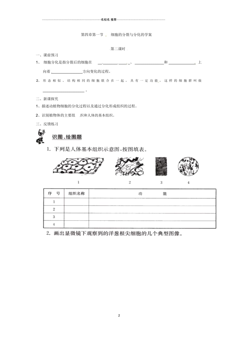 辽宁省辽阳市初中七年级生物上册《4.1细胞的分裂与分化》名师精编学案(无答案)苏科版_第2页