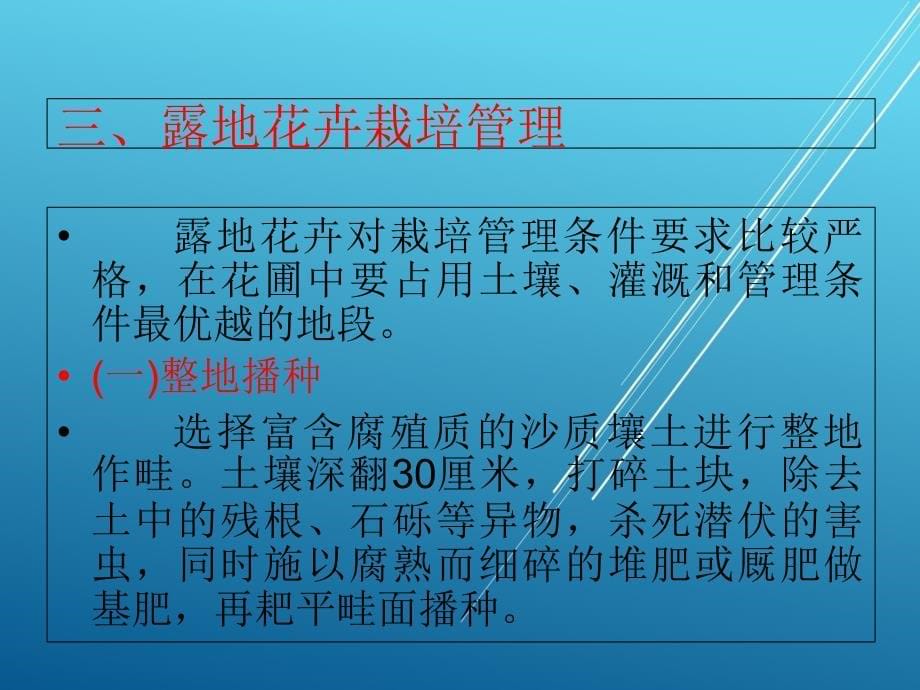 园林树木与花卉第13章 露地花卉栽培课件_第5页