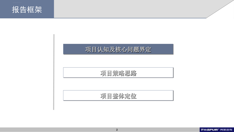 同策上海大发集团普陀区地块前期营销定位报告课件_第2页