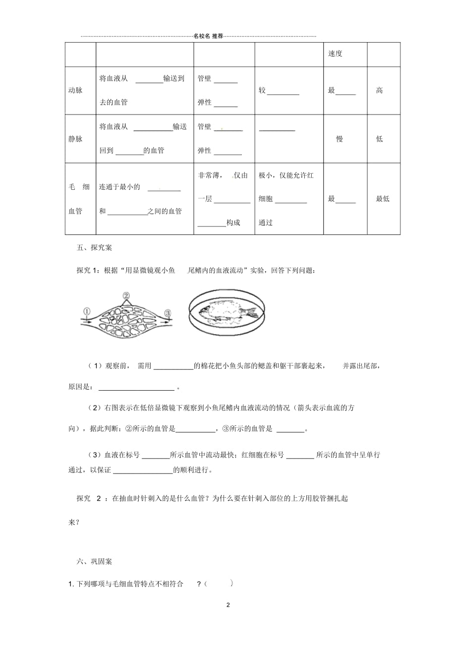 广西崇左市江州区民族中学初中七年级生物下册第四单元第四章第二节《血流的管道—血管》名师精编导学案_第2页