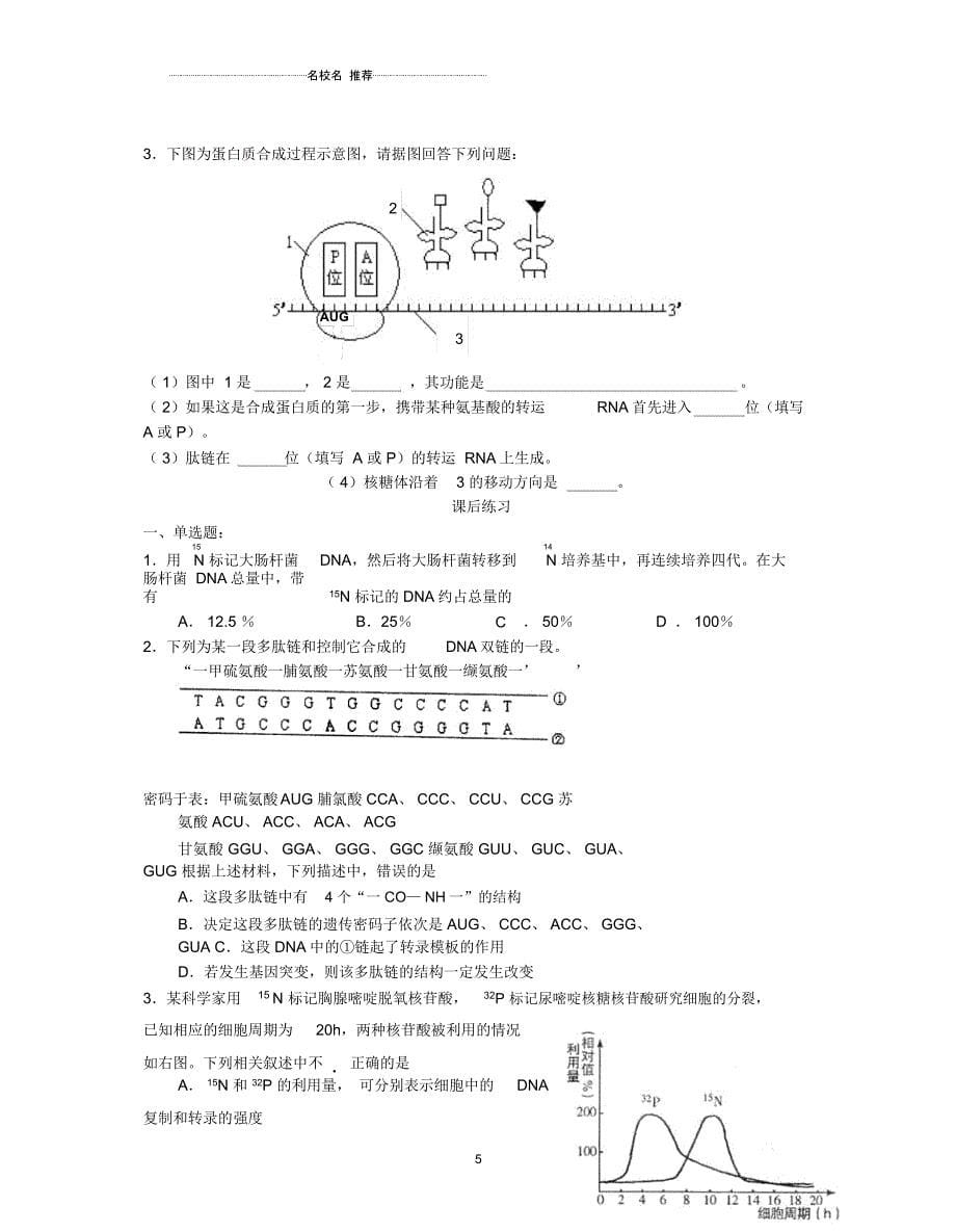 高三生物专题五遗传的分子基础和遗传的基本规律(第二课时)名师精选教案_第5页