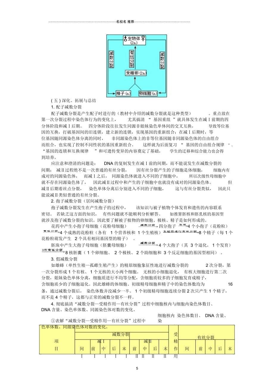 浙江省温州市高中生物第二章染色体与遗传2.1减数分裂过程中的染色体行为名师精选教案浙科版必修2_第5页