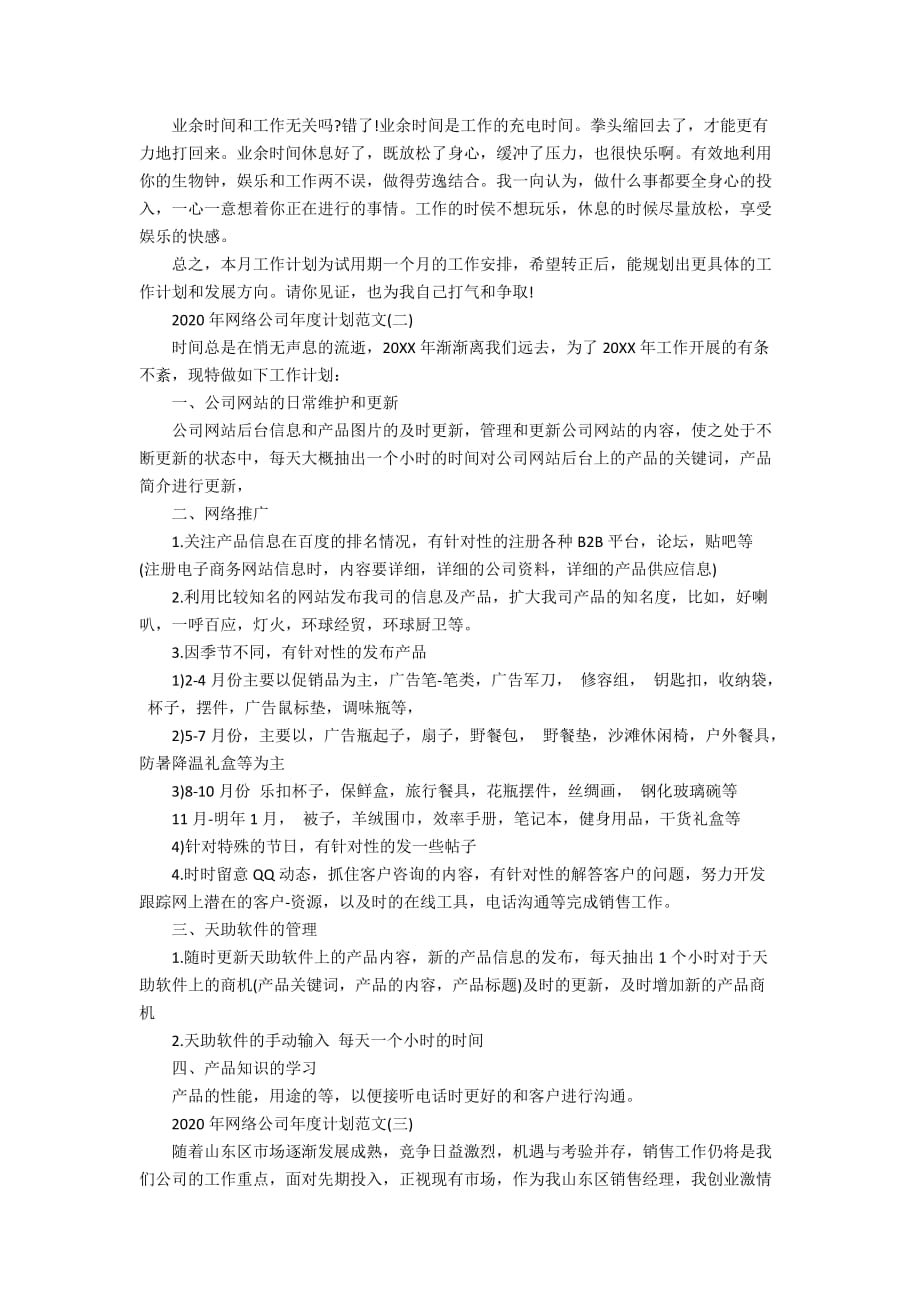 2020年网络公司年度计划范文_第2页