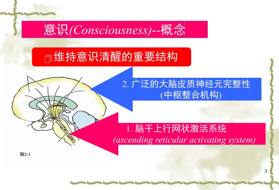 （优质医学）意识障碍分级_第3页