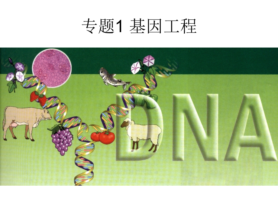 浙科版生物选修3基因工程课件-_第3页