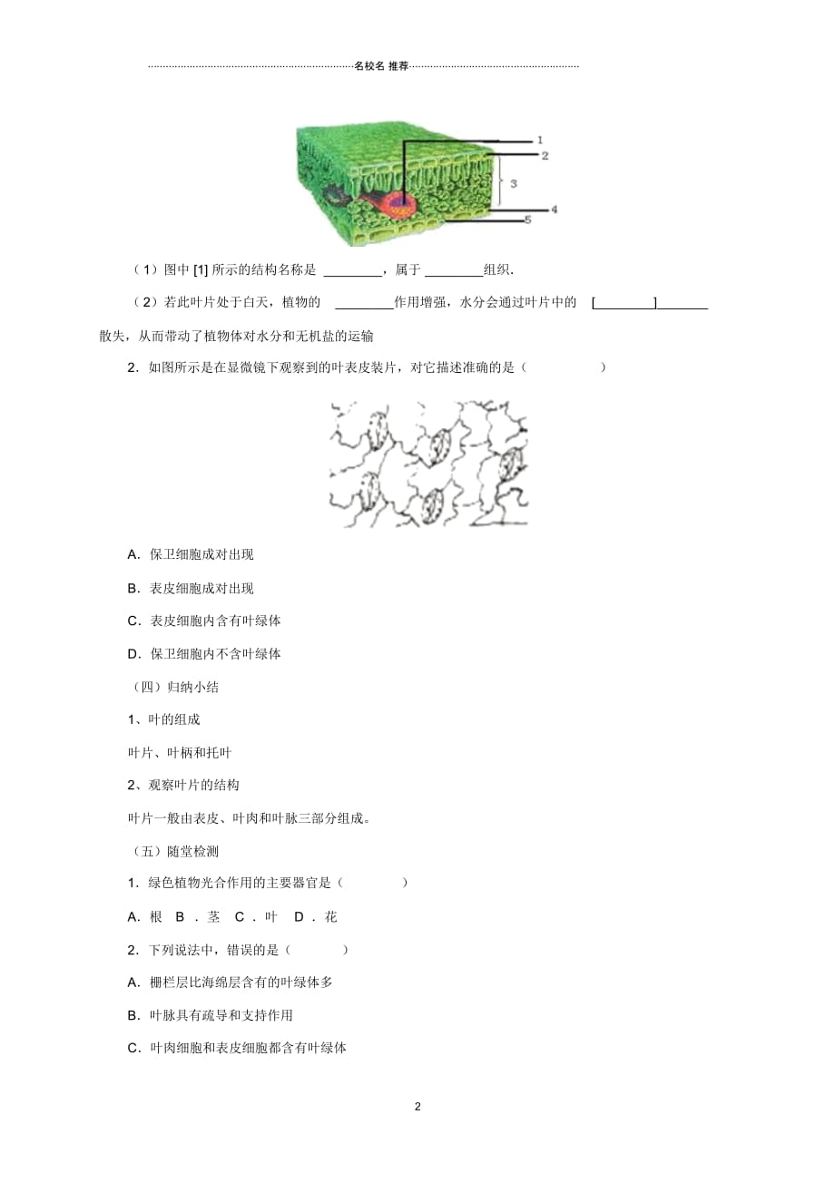 初中七年级生物上册4.2绿色植物的光合作用名师精选教案1北京课改版_第2页