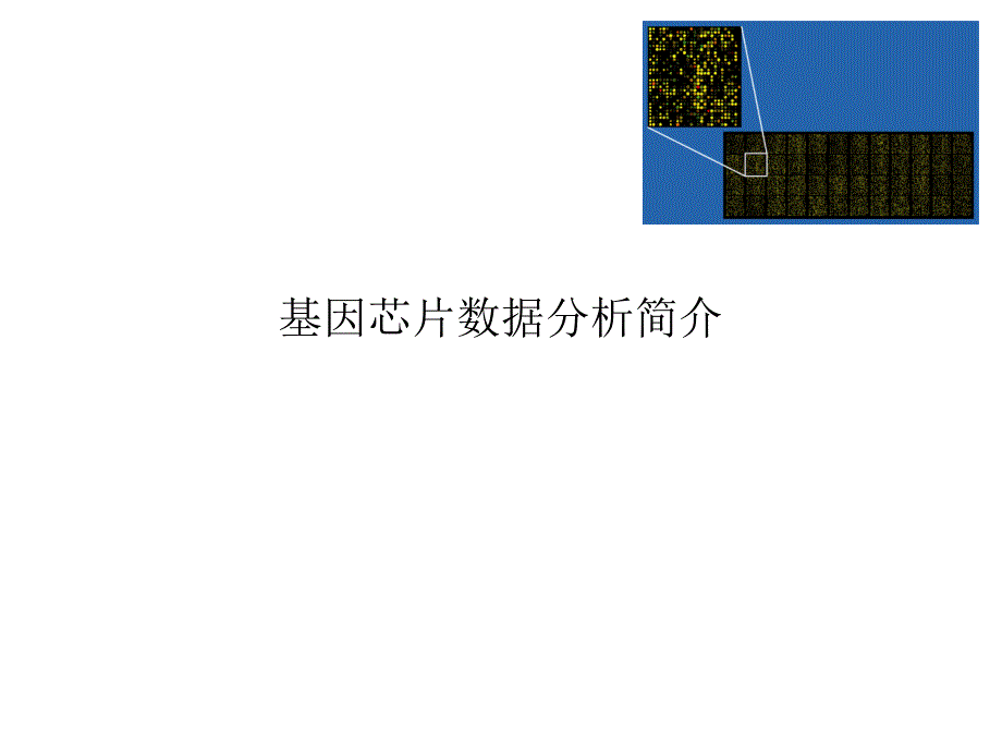 基因芯片数据分析简介课件_第1页