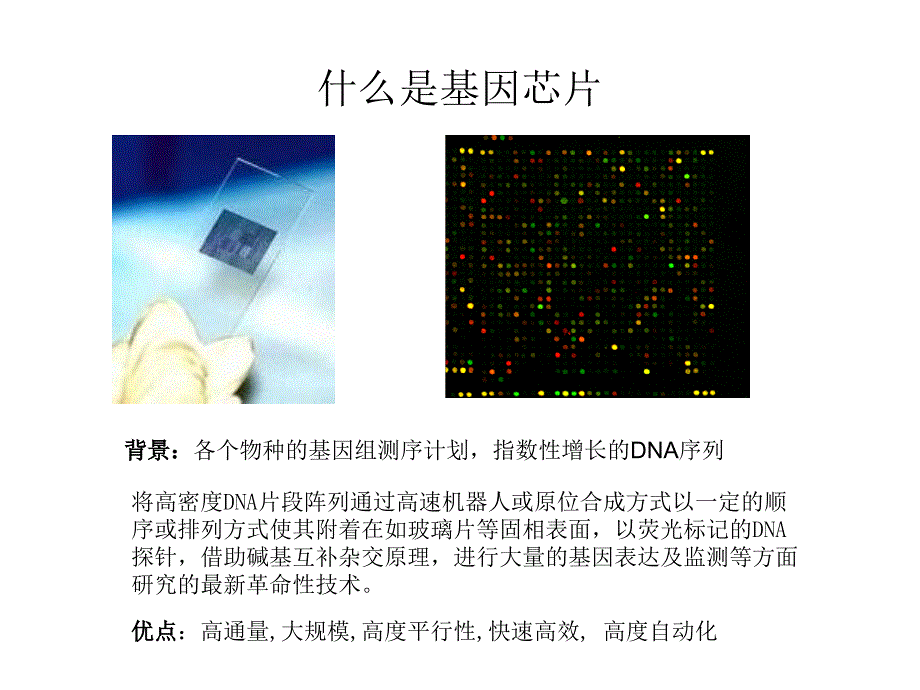 基因芯片数据分析简介课件_第2页