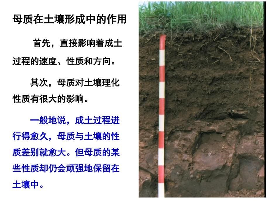 土壤学 土壤形成、分布、分类课件_第5页