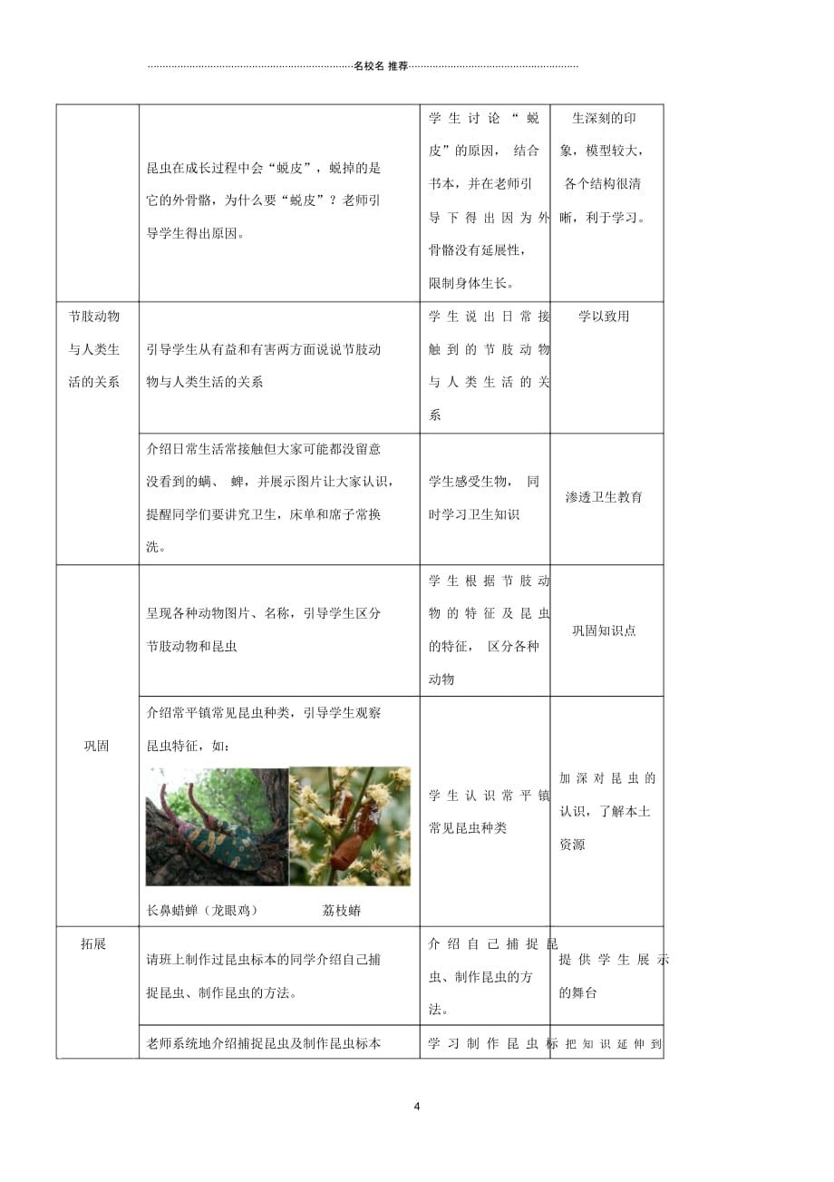 初中八年级生物上册第五单元第一章第三节软体动物和节肢动物名师精选教案新人教版_第4页