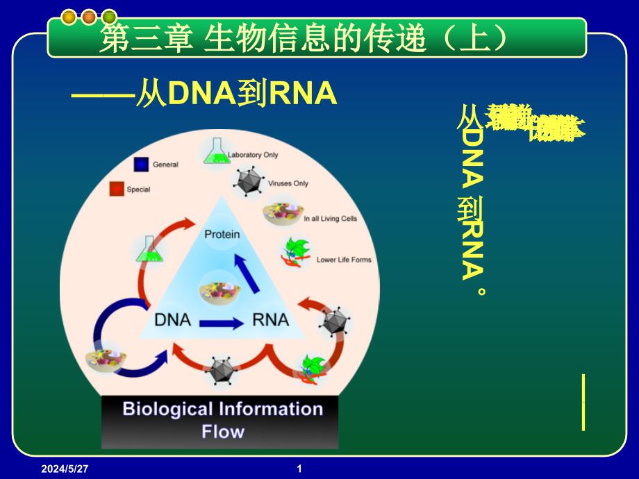 基因工程PPT课件 第三章 生物信息的传递(上)-从DNA到RNA_第1页