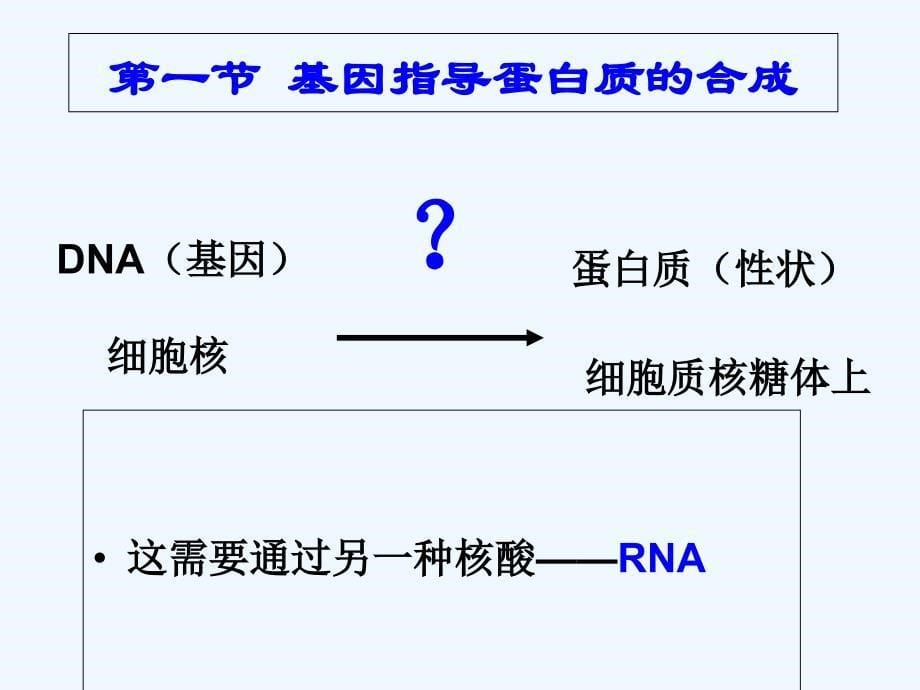 基因的表达基因对性状的控制课件_第5页