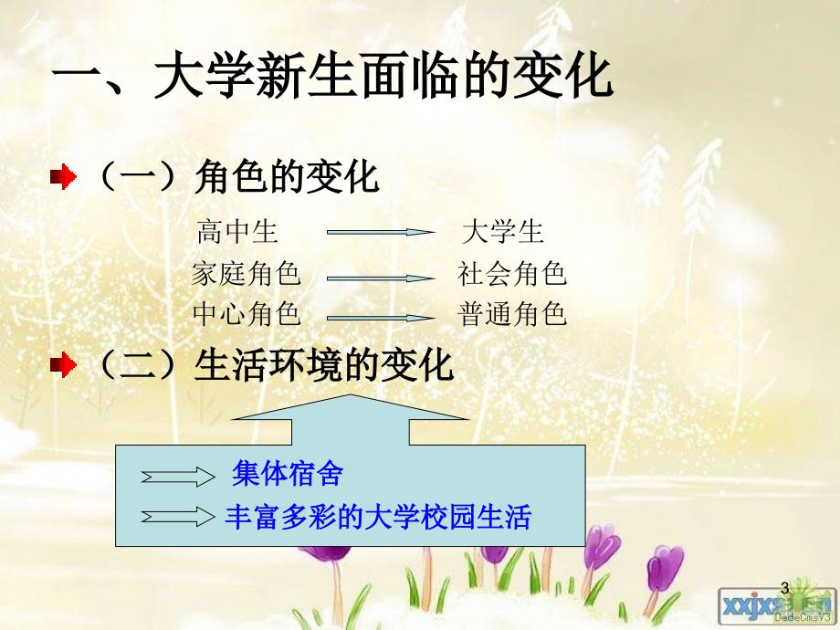 团学干部培训-新生常见心理问题及其调适课件_第3页