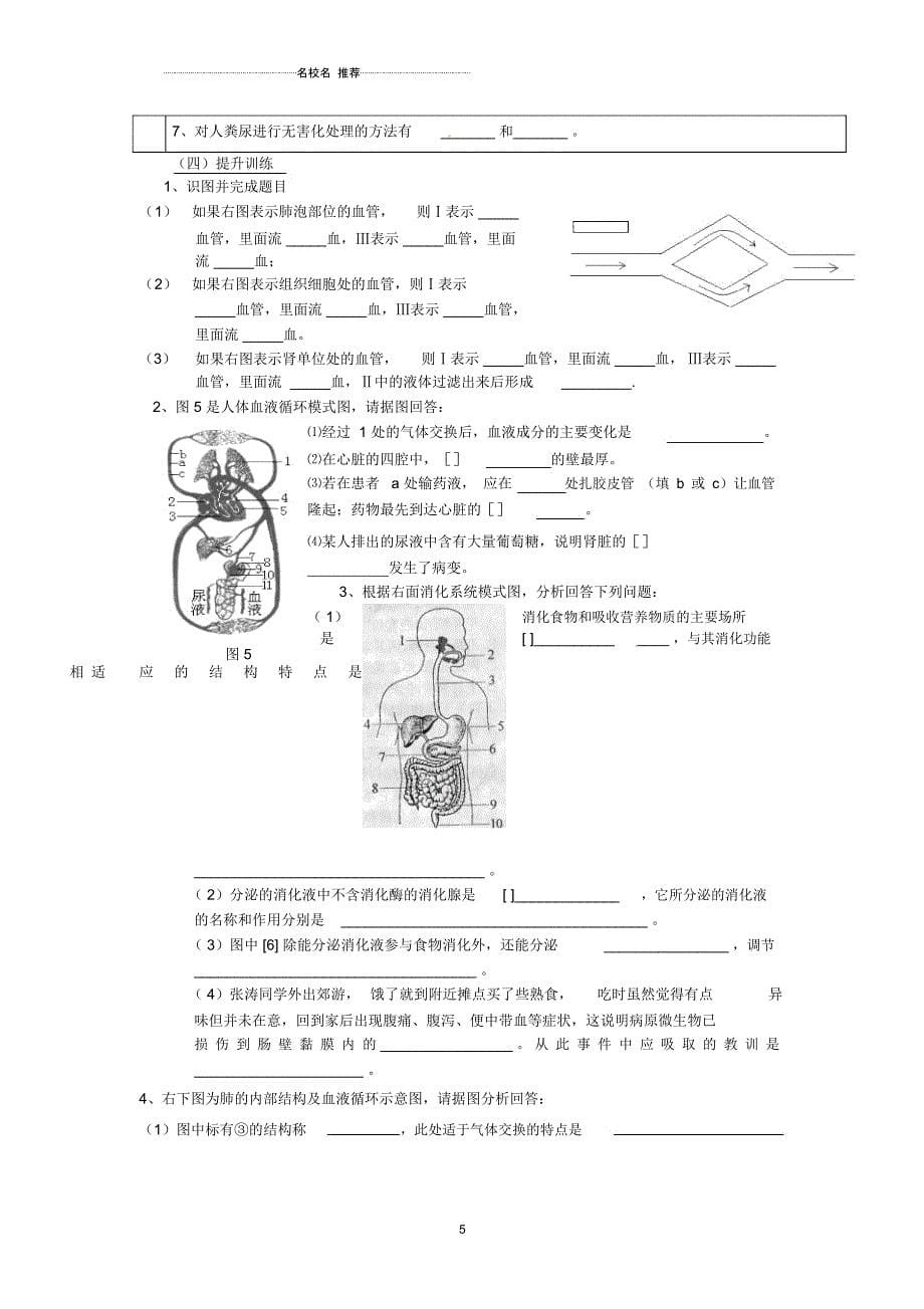 山东省临沭县第三初级中学初中七年级生物上册生物圈中的人复习名师精选教学设计新人教版_第5页