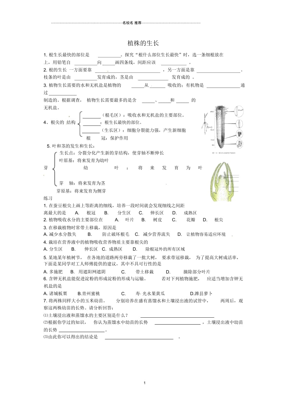 辽宁省大石桥市水源镇第二初级中学初中七年级生物上册3.2.2植株的生长名师精编学案(无答案)(新版)新_第1页