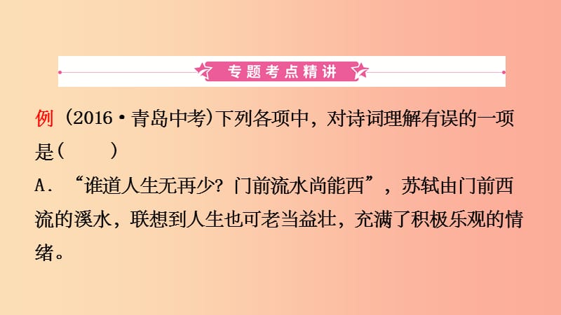 山东省临沂市201X年中考语文专题复习四诗词理解课件_第3页