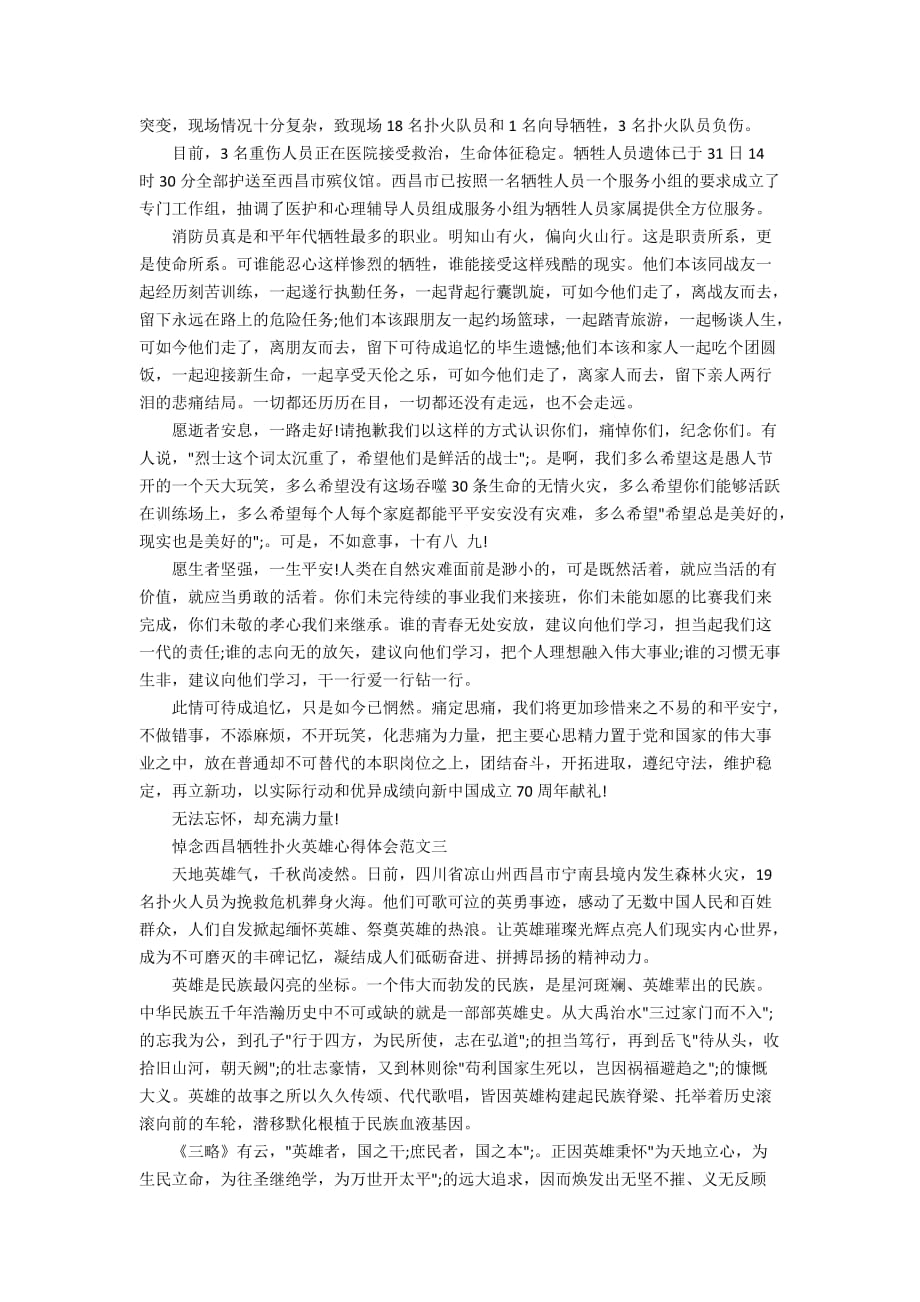 2020悼念西昌牺牲扑火英雄心得体会范文5篇_第2页