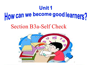 Unit1 How can we become good learners？sectionB(3a-selfcheck)-人教新目标九年级英语全册课件(共25张PPT)