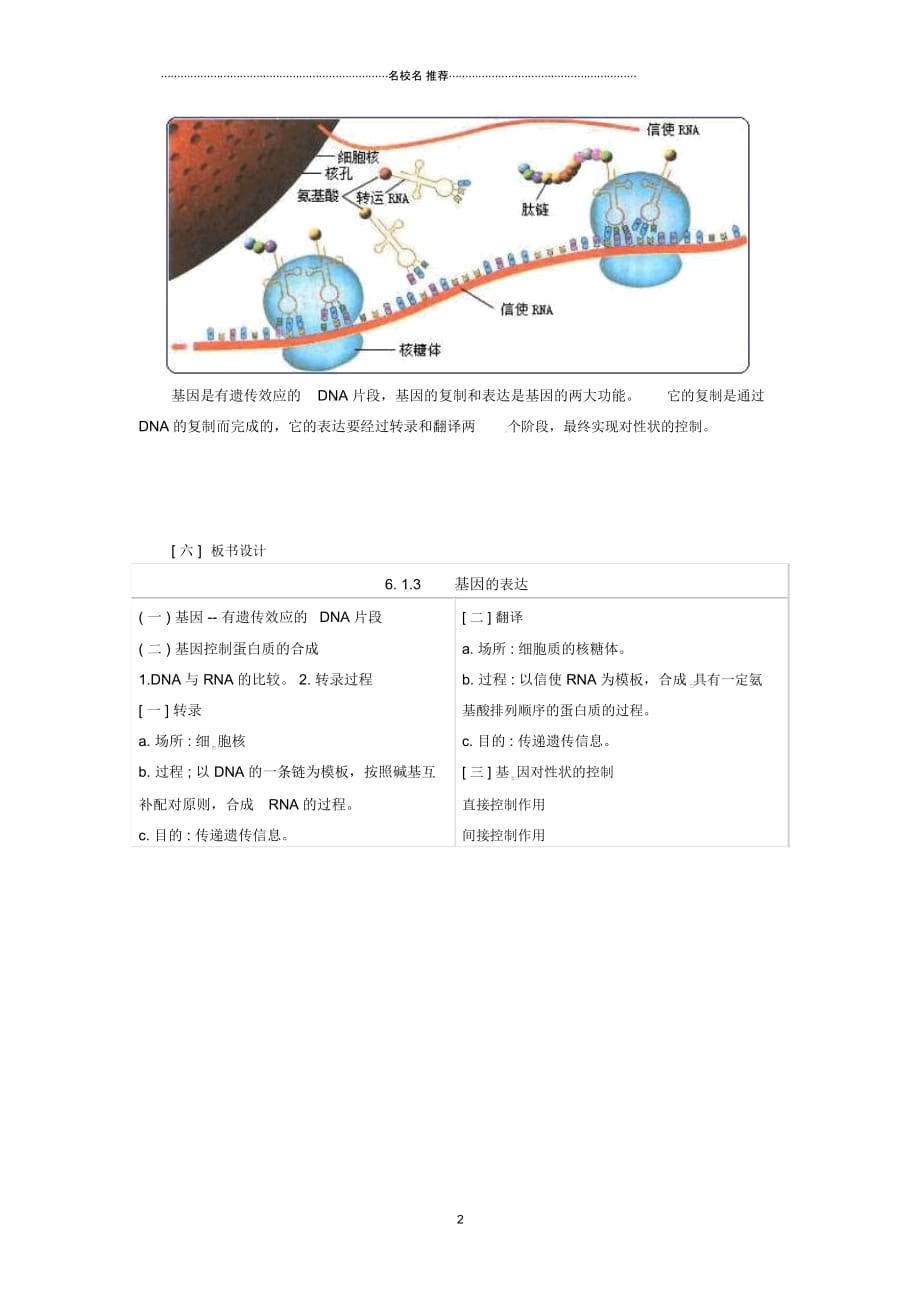 高一生物下学期第四章第二节基因对性状的控制1名师精选教案新人教版_第2页