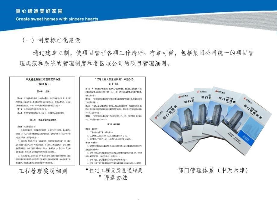 项目管理标准化建设ppt课件_第5页