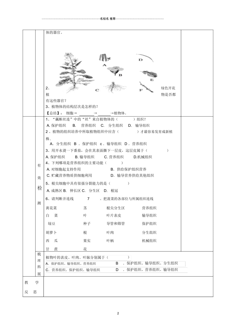 初中七年级生物上册第二单元第二章第三节植物体的结构层次名师精编导学案1无答案新版新人教版_第2页