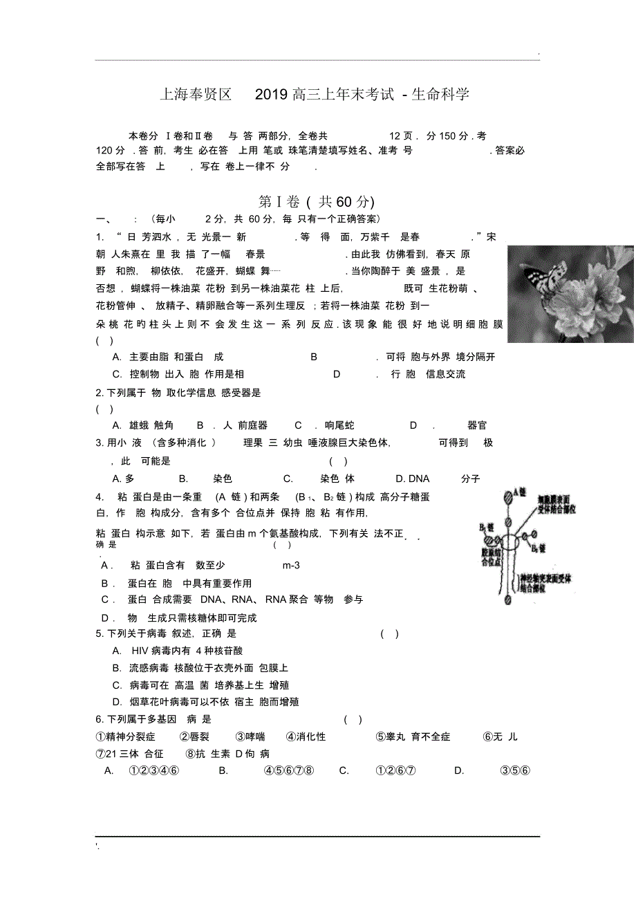 上海奉贤区2019高三上年末考试-生命科学_第1页