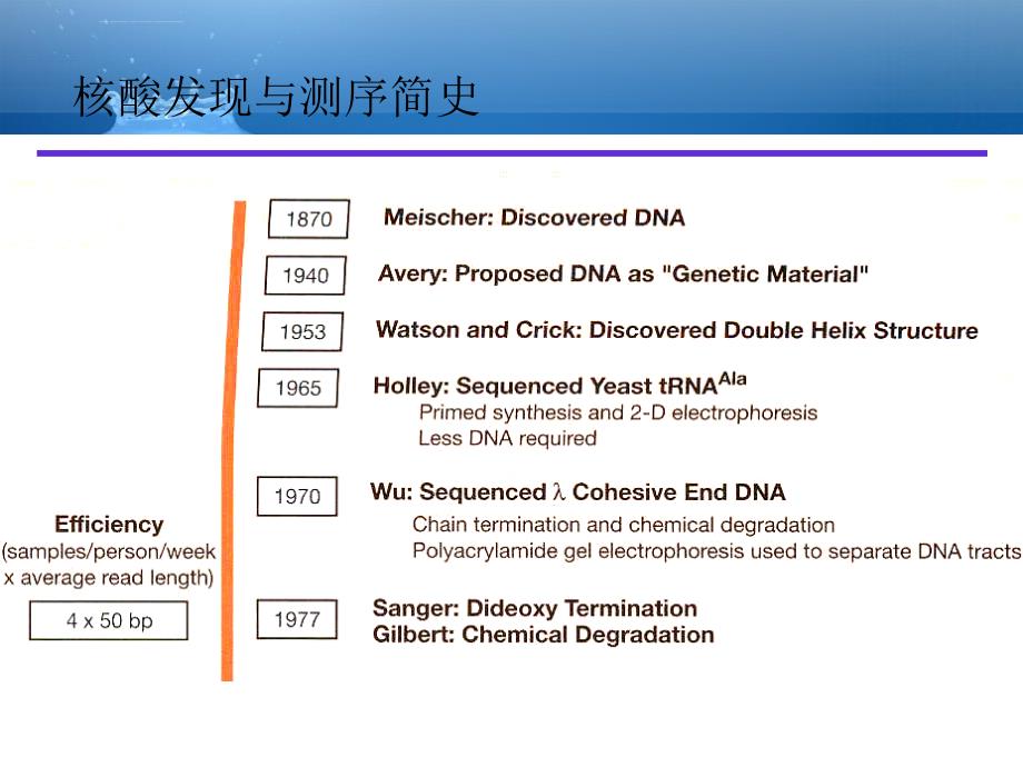 基因组测序基本原理课件_第4页