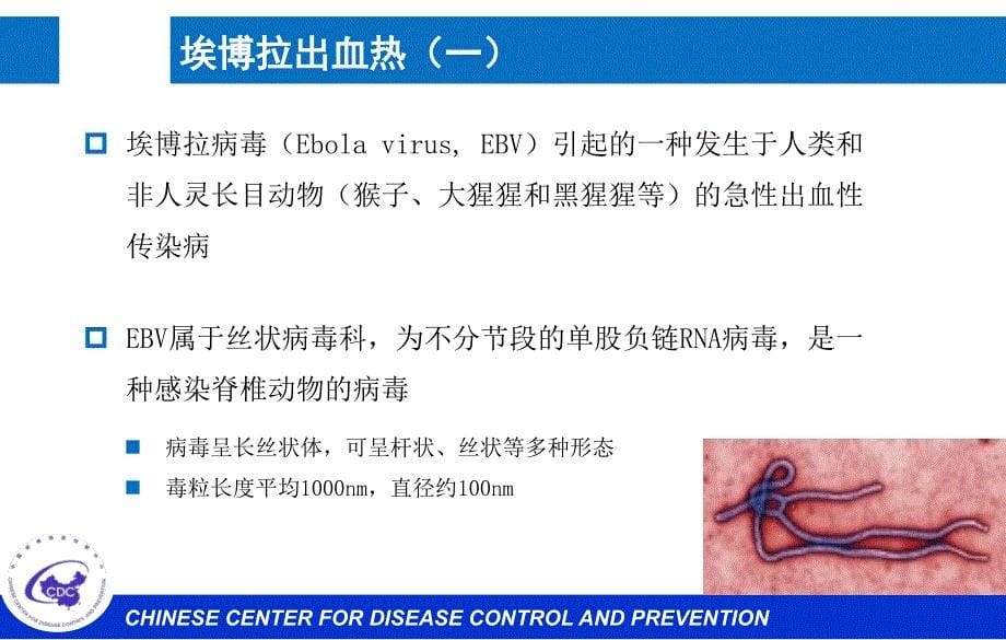 埃博拉出血热(EVD)病例流行病学调查课件_第5页