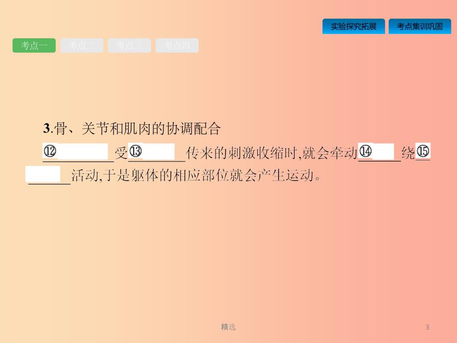 中考生物总复习 第五单元 生物圈中的其他生物 第十七讲 动物的运动、行为及动物在生物圈中的作用_第3页