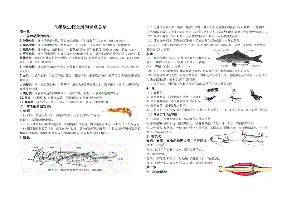 人教版八年级生物上册知识点总结（最新编写-修订版）_第1页