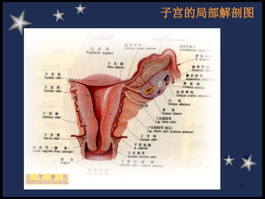 （精品课件）剖宫产术前术后的护理_第4页