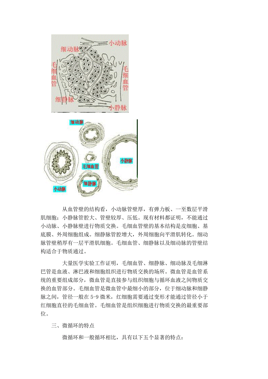 微循环检测基础知识手册范本_第2页