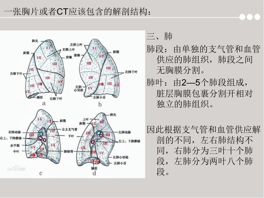 胸片及胸部CT的阅读内容及肺段定位幻灯片_第4页