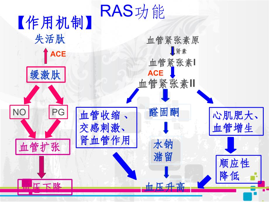 RAS系统抑制药ppt课件_第2页
